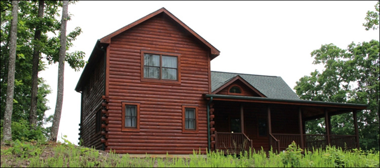 Professional Log Home Borate Application  Hampton, Virginia
